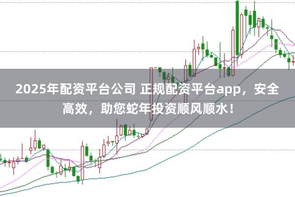 2025年配资平台公司 正规配资平台app，安全高效，助您蛇年投资顺风顺水！