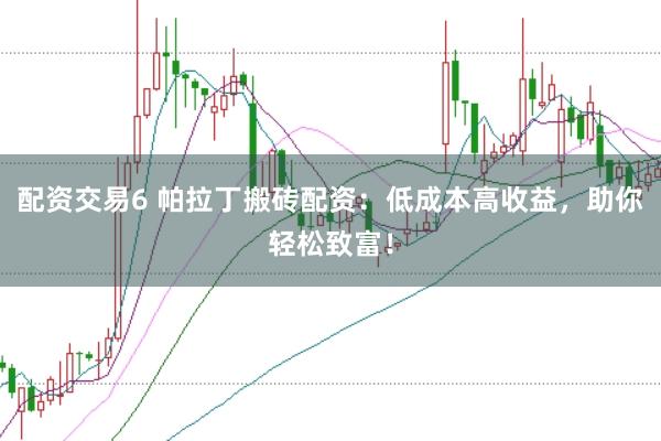 配资交易6 帕拉丁搬砖配资：低成本高收益，助你轻松致富！