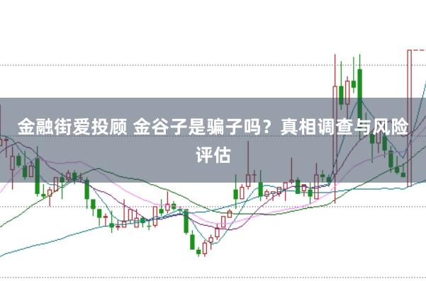 金融街爱投顾 金谷子是骗子吗？真相调查与风险评估