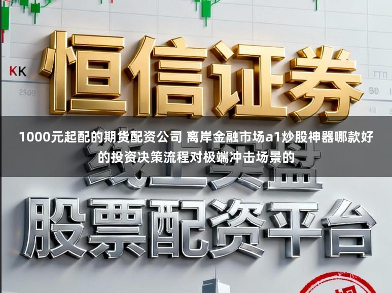 1000元起配的期货配资公司 离岸金融市场a1炒股神器哪款好的投资决策流程对极端冲击场景的