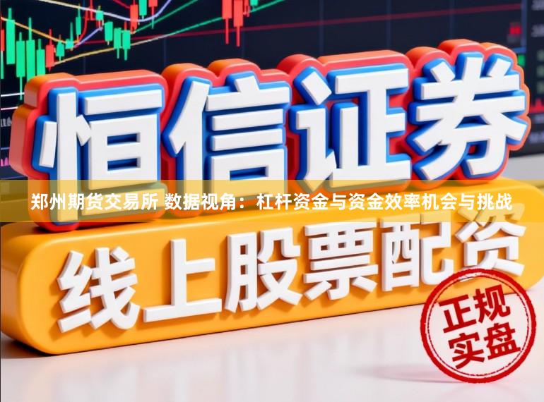 郑州期货交易所 数据视角：杠杆资金与资金效率机会与挑战