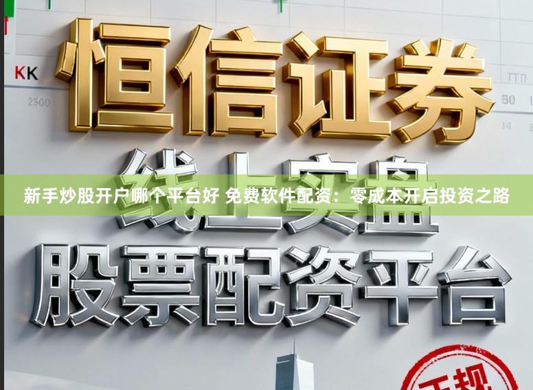 新手炒股开户哪个平台好 免费软件配资：零成本开启投资之路